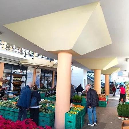 - I Ribeira Brava